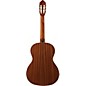 Lucero LC150S Spruce/Sapele Classical Guitar Natural