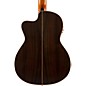 Open Box Lucero LFN200Sce Spruce/Rosewood Thinline Acoustic-Electric Classical Guitar Level 2 Natural 197881119973