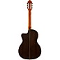 Open Box Lucero LFN200Sce Spruce/Rosewood Thinline Acoustic-Electric Classical Guitar Level 2 Natural 194744011290