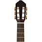 Open Box Lucero LFN200Sce Spruce/Rosewood Thinline Acoustic-Electric Classical Guitar Level 1 Natural
