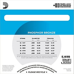 D'Addario EJ69 Phosphor Bronze Light 5-String Ball-End Banjo Strings (9-20)