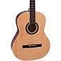Open Box Giannini GN-15 N Spruce Top Classical Guitar Level 1 Natural thumbnail
