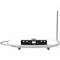 Moog Theremini Package