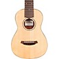 Open Box Cordoba Mini Mahogany Nylon String Acoustic Guitar Level 1 Natural thumbnail