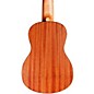 Cordoba Mini Mahogany Nylon String Acoustic Guitar Natural