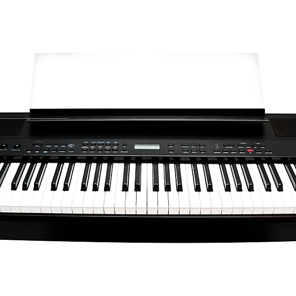 The Player Piano ナンバリング入り 1000枚限定盤 The Player Piano ナンバリング入り 1000枚限定盤 CD