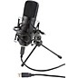 Open Box CAD GXL2600USB Large Diaphragm USB Studio Condennser Microphone Level 2 190839099228