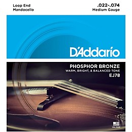 D'Addario EJ78 Phosphor Bronze Mandocello Strings (22-74)