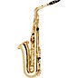 Selmer Paris SeleS AXOS Series Alto Saxophone Lacquer