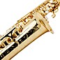 Selmer Paris SeleS AXOS Series Alto Saxophone Lacquer