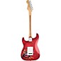 Fender Special Edition David Lozeau Art Rosewood Fingerboard Stratocaster Electric Guitar Sacred Heart