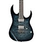 Open Box Ibanez RG6005 Quilted Maple Electric Guitar Level 2 Transparent Gray Burst 190839084910 thumbnail
