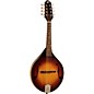 Open Box The Loar LM-290 Contemporary A-Style Mandolin Level 2  190839024251 thumbnail