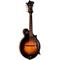 Open Box The Loar LM-375 Grassroots Series F-Style Mandolin Level 2 Regular 190839210067 thumbnail
