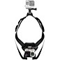 GoPro Fetch (Dog Harness) thumbnail
