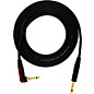 ProCo Evolution Studio/Stage Silent Straight - Angle Instrument Cable 12 ft. thumbnail