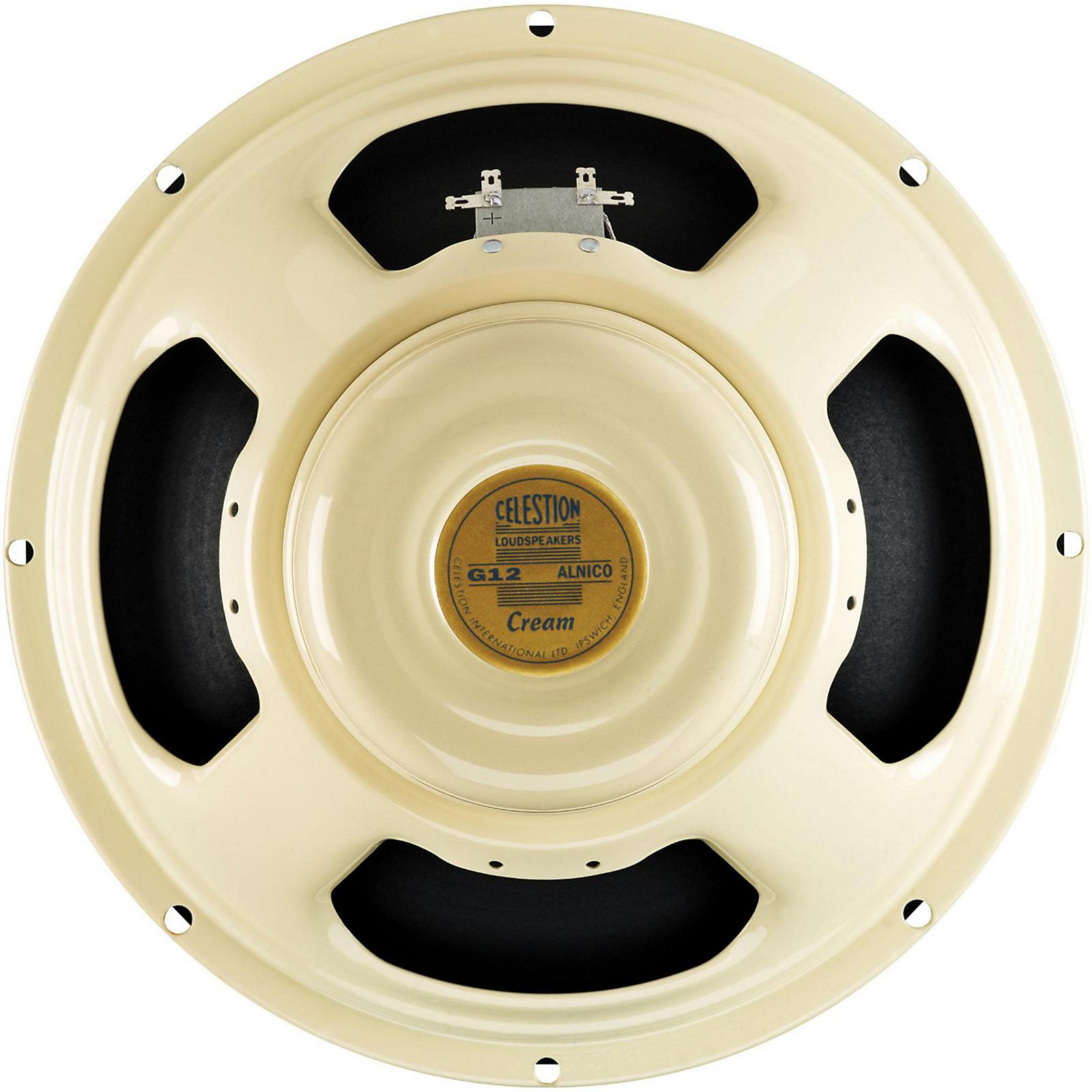 8 inch alnico guitar speaker