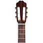 Kremona F65C Nylon-String Guitar Natural