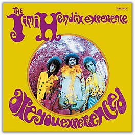 Sony The Jimi Hendrix Experience - Are You Experienced Vinyl LP