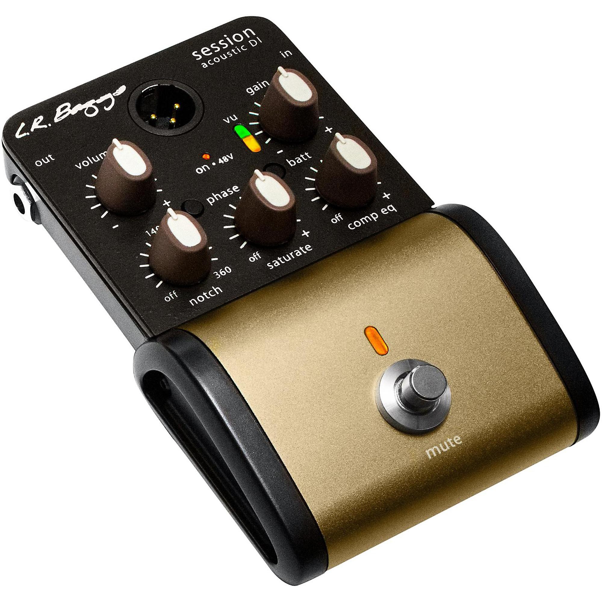 Amazon.com: L.R. Baggs Session DI Acoustic Guitar Preamp and