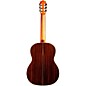 Cordoba F7 Paco Flamenco Nylon String Guitar Natural