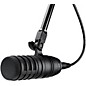 Audio-Technica BP40 Large Diaphragm Dynamic Vocal Microphone
