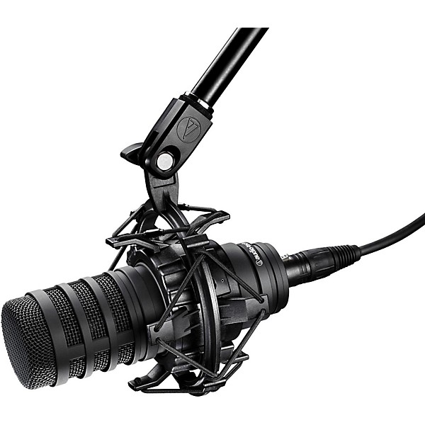 Audio-Technica BP40 Large Diaphragm Dynamic Vocal Microphone