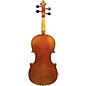Maple Leaf Strings MLS 130 Apprentice Collection Viola Outfit 16 in.