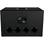 Acoustic BN210 600W 2x10 Bass Speaker Cabinet
