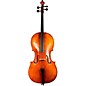 Strobel MC-300 Series Cello Outfit 4/4 Size thumbnail