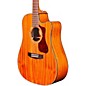 Open Box Guild D-120CE Acoustic-Electric Guitar Level 2 Natural 190839719065 thumbnail