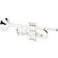 Kohlert 110 Series Intermediate Bb Trumpet Silver