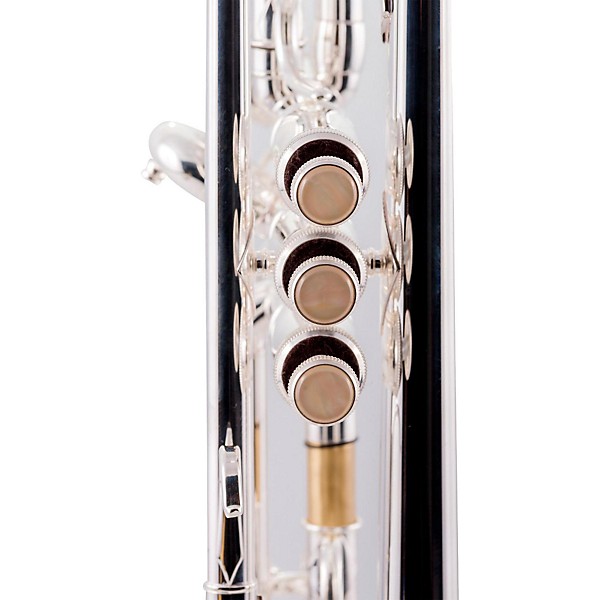 Giardinelli　ジャルディネリ　S10 Giardinelli ジャルディネリ S10 Giardinelli GFL-10 Series Flute by