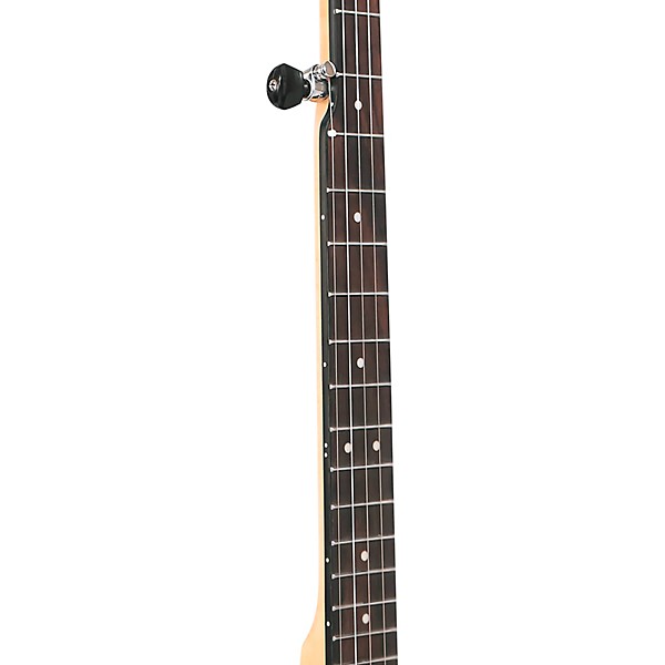 Open Box Gold Tone EB-5 Electric Banjo Level 2 Natural 197881105457