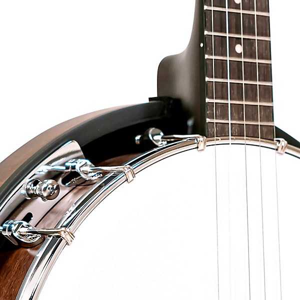 Gold Tone CC-BG Cripple Creek Banjo Bluegrass Starter Pack Vintage Brown
