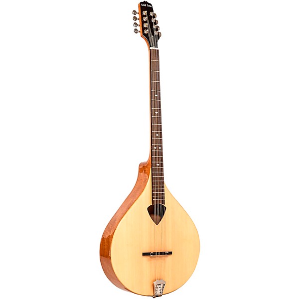 Gold Tone BZ-500 Irish Bouzouki Mandolin With Case Natural