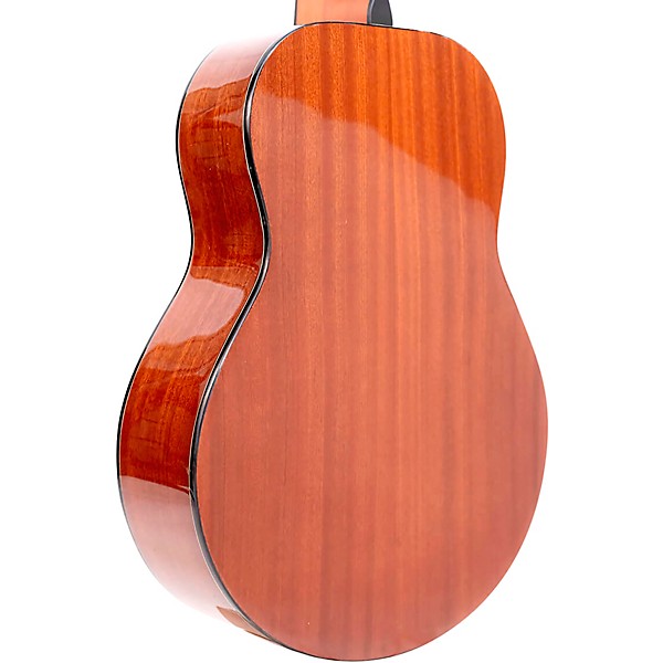 Open Box Gold Tone TG-10 Tenor Acoustic Guitar Level 1 Natural