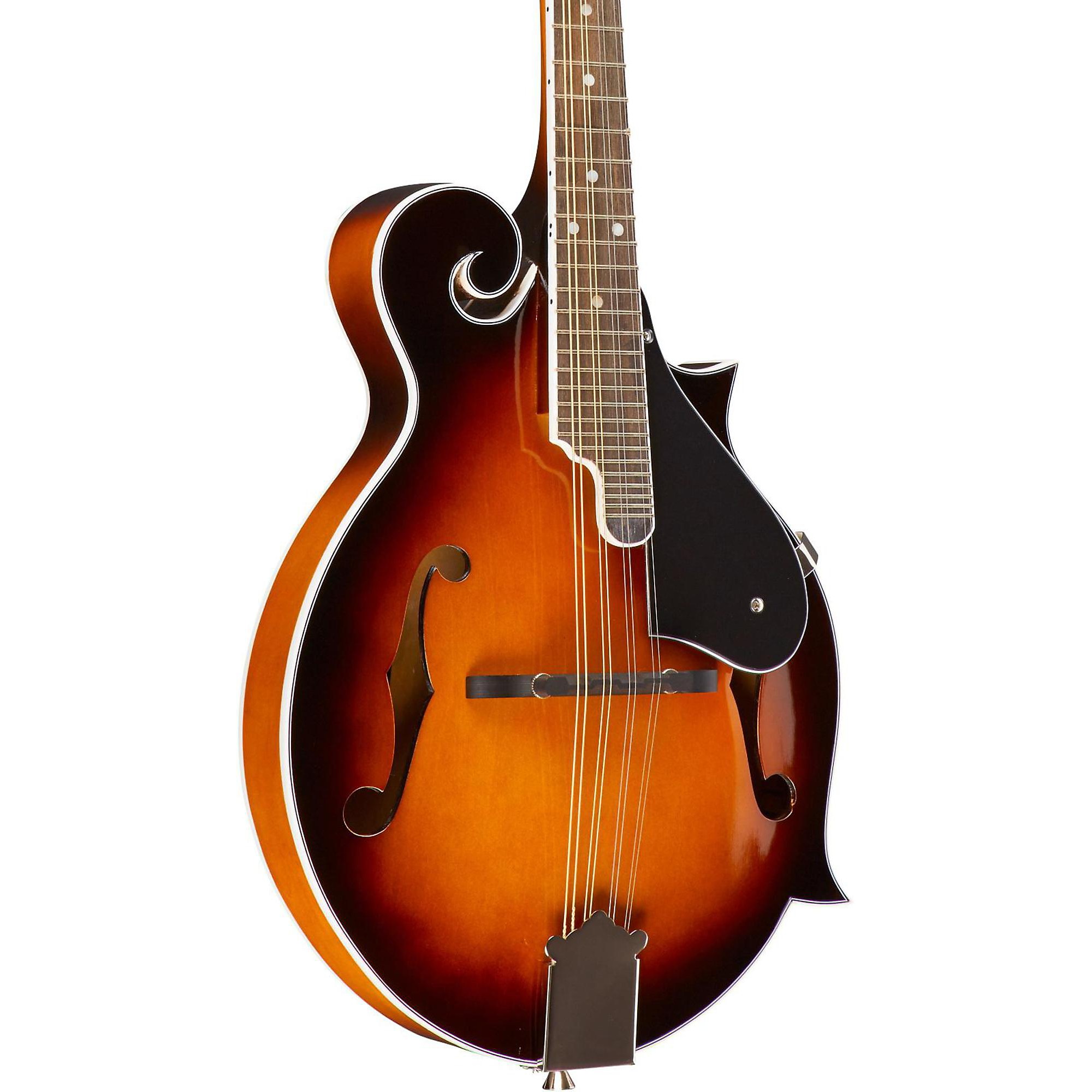 rogue guitar mandolin pack