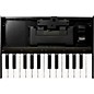 Roland K-25m Boutique Keyboard Unit thumbnail