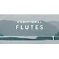 Spitfire BML Additonal Flutes thumbnail