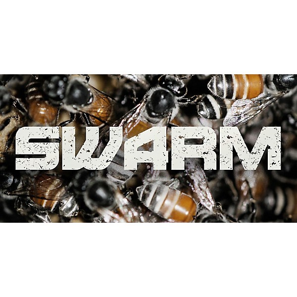 Spitfire Swarm Series - Mandolins