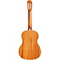 Cordoba C5 SB Classical Spruce Top Acoustic Guitar Sunburst