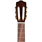 Open Box Cordoba C5 SB Classical Spruce Top Acoustic Guitar Level 1 Sunburst