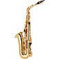 Yamaha YAS-875EXII Custom Series Alto Saxophone Lacquer