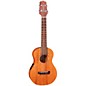 Takamine EGUC1 Concert Acoustic-Electric Ukulele Natural thumbnail