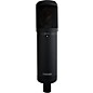 sE Electronics 2200a II Multi-Pattern Condenser Microphone
