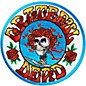 C&D Visionary Grateful Dead Skull & Roses Patch thumbnail