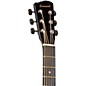 Savannah Savannah SO-SGD-10C Dreadnought Acoustic-Electric Guitar Black