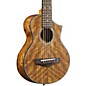 Open Box Ibanez EWP14OPN Exotic Wood Piccolo Acoustic Guitar Level 1 Natural thumbnail