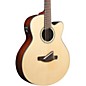 Open Box Ibanez AELFF10 AEL Multi-Scale Acoustic-Electric Level 2 Natural 190839098832 thumbnail